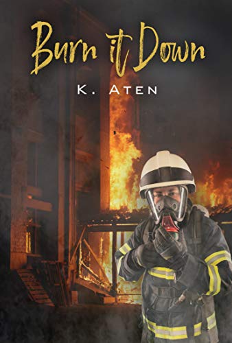 Book Cover Burn It Down