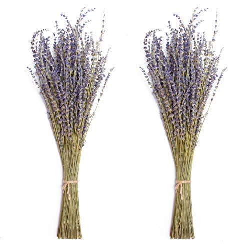 Book Cover Timoo Dried Lavender Bundles 100% Natural Dried Lavender Flowers for Home Decoration, Photo Props, Home Fragrance, 2 Bundles Pack