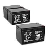 3 Pack 12V 10AH 12AH Casil F2 for Razor Battery Fits MX500 MX650, W15128190003-3 Pack