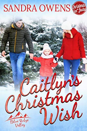 Book Cover Caitlyn's Christmas Wish (Blue Ridge Valley Book 4)