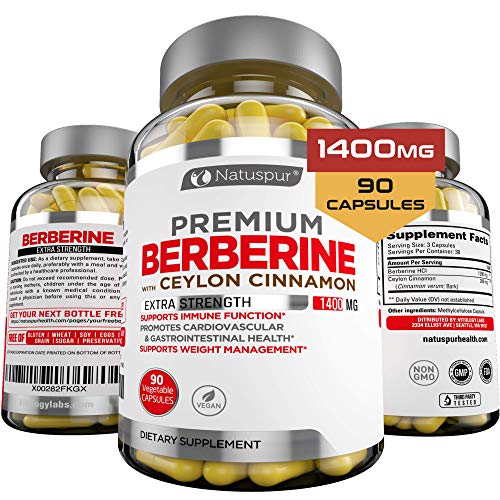 Premium Berberine HCL Plus Ceylon Cinnamon 1400mg for Blood Sugar, Glucose Metabolism, Immune System, Insulin, Diabetes, Cardiovascular & Gastrointestinal Function â€“ Berberine HCI Root Supplement