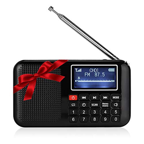 Raddy RF28 Portable FM Pocket Radio, Support USB/MP3/AUX/TF Card Music Player Speaker, Digital Tuning, Rechargeable Battery Operated with Flashligh, Sleep Timer (Black)