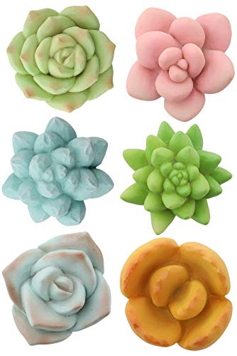 Segreto Creative Refrigerator Magnet Simulated Succulent Plant Resin Fridge Magnet for House Office Kitchen Whiteboard,6 pcs