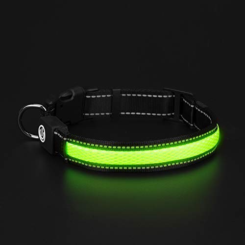 HongTu LED Dog Collar for Night Visible Safety Walking,USB Rechargeable,3 Mode Glowing Flashing Light (L(19"-24"), Green) …