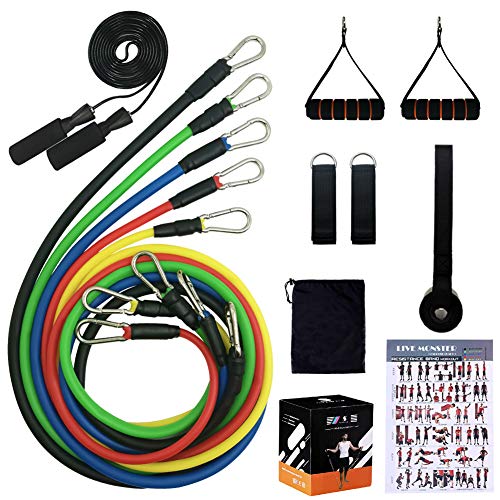 Beakabao Sports Resistance Band Set - Includes Bands, Handles, Ankle Straps, Door Anchors, Guides and Bag, Free Skipping Rope - for Physical Training, Weight Loss, Home Exercise, Yoga, Pilates