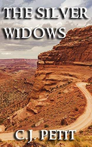 Book Cover The Silver Widows