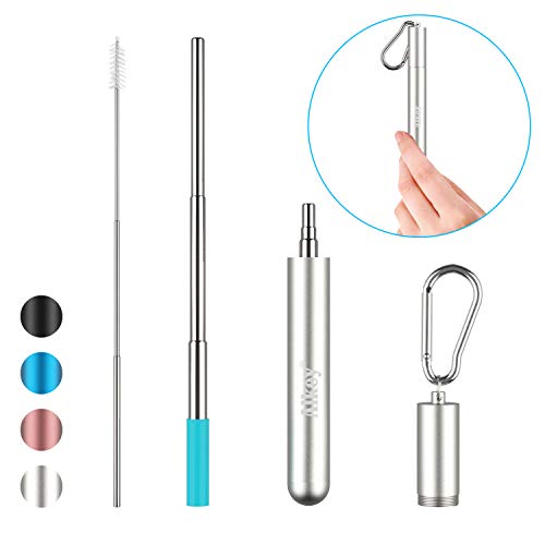 Premium Stainless Steel Portable Telescopic Reusable Collapsible Straw & Brush 