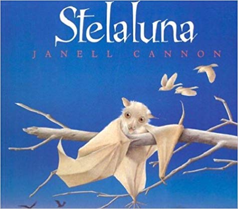 Stellaluna (Paperback Book)