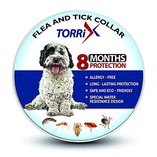TORRIX Dog Collar - 8-Month Flea Medicine - Adjustable, Safe and Water Resistant Flea Prevention Collar