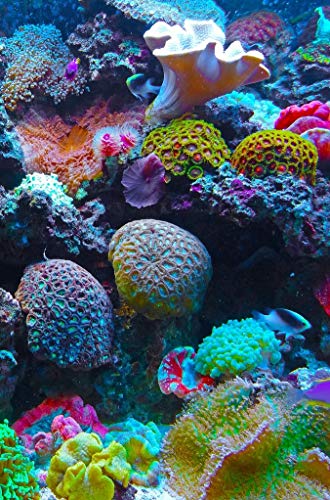 Mini Wooden Jigsaw Puzzle - Coral Reef - 51 Unique Wooden Pieces - Made in USA by Nautilus Puzzles