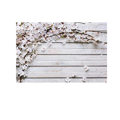 TEXXIS Portable 3D Print Collapsible Photography Backdrop Background Presentation Pointers