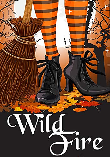 Book Cover Wild Fire (A Witch Myth Cozy Mystery Book 2)