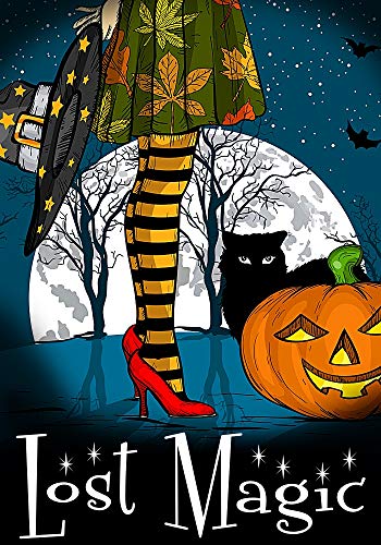 Book Cover Lost Magic: A Yew Hollow Witch Mystery (A Witch Myth Cozy Mystery Book 7)