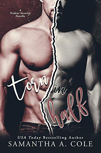 Torn in Half: A Trident Security Novella: Book 8.5