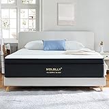 Molblly Queen Mattress, 10 inch Hybrid Spring Mattress in A Box Infused Memory Foam and Pocket Spring Mattress for Sleep & Pressure Relief, Bule 80"*60"*10" Medium Firm Queen Size Mattress,