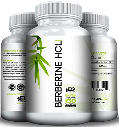 Berberine by EVOGANICA (675 mg per Serving x 150 Serving) Supports Healthy Blood Sugar, AMPK Activator,Supports Imune Functiomn
