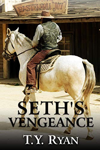 Book Cover Seth's Vengeance