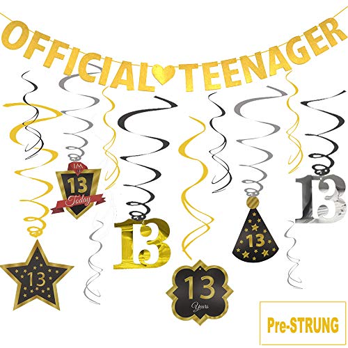 Official Teenager Banner 13 Birthday Decoration Kit, JESWELL Pre Threaded Birthday Party Banner and Sparkling Celebration Swirls for 13 Years Old Party Supplies
