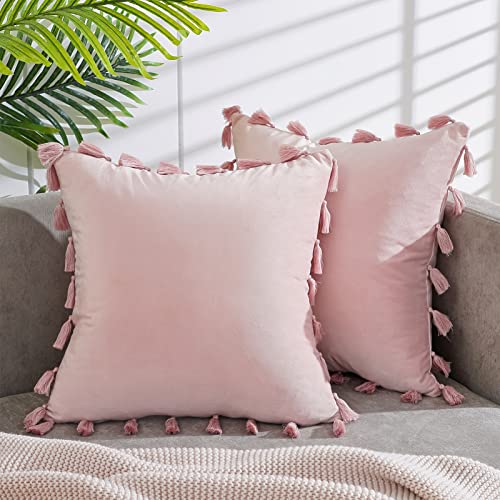 Book Cover Topfinel Decorative Throw Pillow Covers with Boho Tassel Soft Velvet Cushion Covers 18 x 18 Inch Set of 2 for Couch Bed Sofa Living Room Classroom(Blush Pink/45cm)…