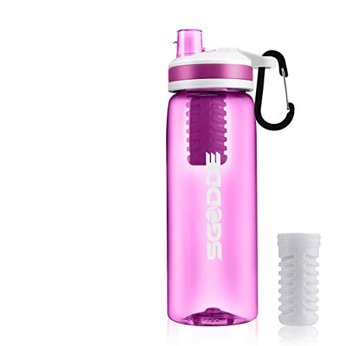 Book Cover SGODDE Water Filter Bottles, Filtered Water Bottle Filter Straw BPA Free for Hiking, Camping, Backpacking and Travel Rose Red