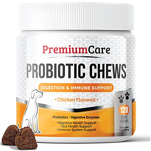 Book Cover Premium Care Probiotics for Dogs - Advanced Dog Probiotics and Digestive Enzymes - Gut Flora, Digestive and Bowel Health Support - Pet Probiotic Supplement Chews for Dogs - 120 Chews