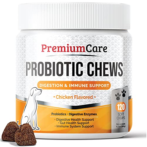 Premium Care Probiotics for Dogs - Advanced Dog Probiotics and Digestive Enzymes - Gut Flora, Digestive and Bowel Health Support - Pet Probiotic Supplement Chews for Dogs - 120 Chews