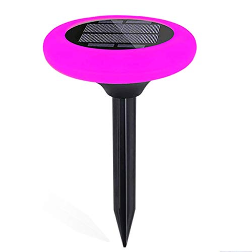 Colored Solar Lights -Outdoor Colorful Pathway Solar Light (1 Lights) Decorative Weatherproof Auto On/Off Outdoor Lights: Garden, Landscape, Patio, Pool, Yard