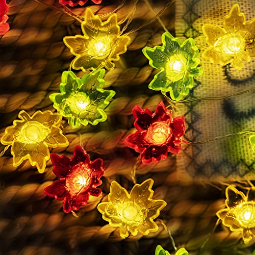 BOHON Thanksgiving Decorations Maple Leaves Fairy String Lights with Remote 10ft 40LEDs Battery Operated String Lights for Bedroom Fall Autumn Festival Halloween Thanksgiving Harvest Decor