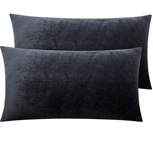 Book Cover NTBAY Zippered Velvet King Pillowcases, 2 Pack Super Soft and Cozy Luxury Solid Color Pillow Cases, 20 x 36 Inches, Charcoal Grey