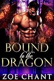 Bound to the Dragon (Lost Dragons Book 5)