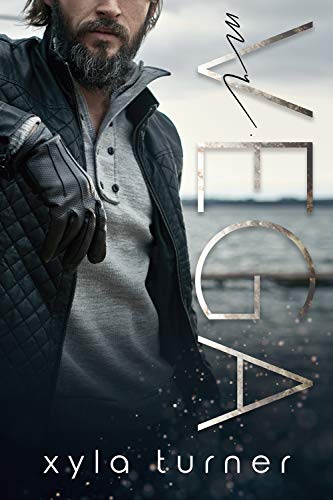 Mr. Vega (MISTER Book 1)