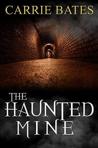 Book Cover The Haunted Mine
