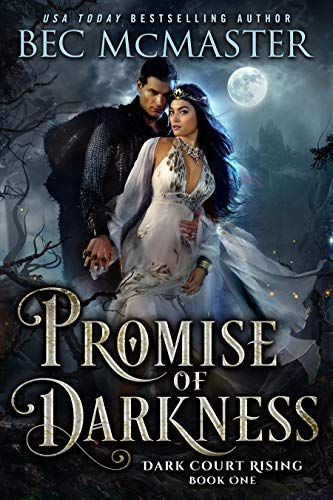 Book Cover Promise of Darkness (Dark Court Rising Book 1)