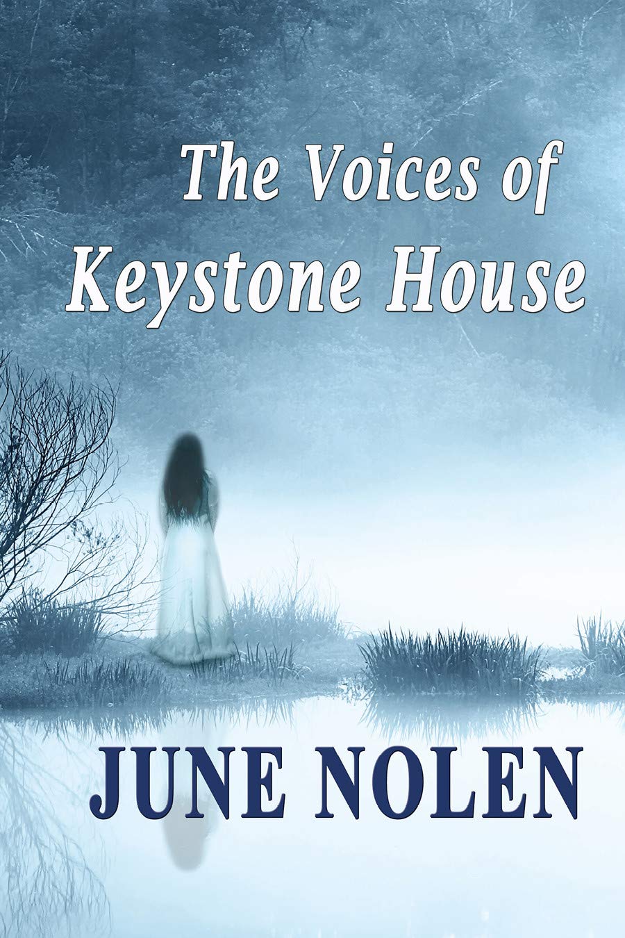 Book Cover The Voices of Keystone House