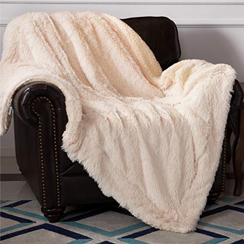 Book Cover Bedsure Faux Fur Reversible Sherpa Throw Blanket for Sofa, Couch and Bed - Super Soft Fuzzy Fleece Blanket for Outdoor, Indoor, Camping, Gifts (60x80 inches, Ivory)