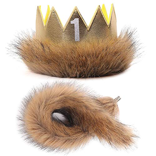 Book Cover Where The Wild Things are Max Costume Party Supplies Wild One Crown Tail First Birthday Party Girls Boys King of The Jungle
