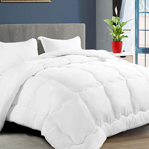 Book Cover KARRISM All Season Down Alternative Queen Comforter, Winter Warm Ultra Soft Quilted Duvet Insert with Corner Tabs, Wavy Box Stitched, Hypoallergenic, Luxury Hotel Collection (White, 88 x 88 inch)