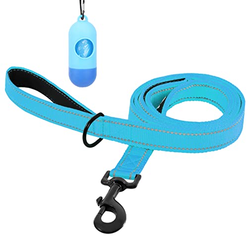 Bolux 5ft Dog Leash, Heavy Duty Rope Leash with 2 Padded Handle – Pet Training Lead with 3M Reflective Double Handle for Traffic Control Safety, Perfect for Large Medium or Small Dog (Turquoise)