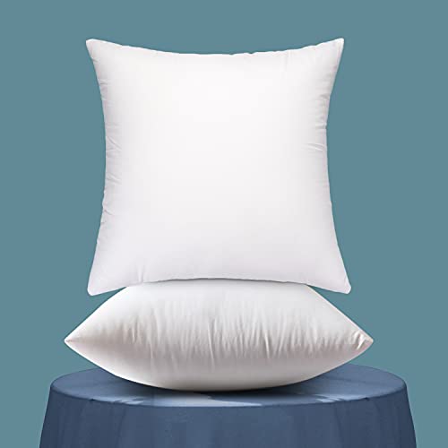 Emolli Throw Pillow Inserts Set of 2, Throw Pillow Inserts Premium Stuffer Down Alternative,Super Soft Microfiber Filled Decorative Pillow Cushion, 24 x 24 Inches