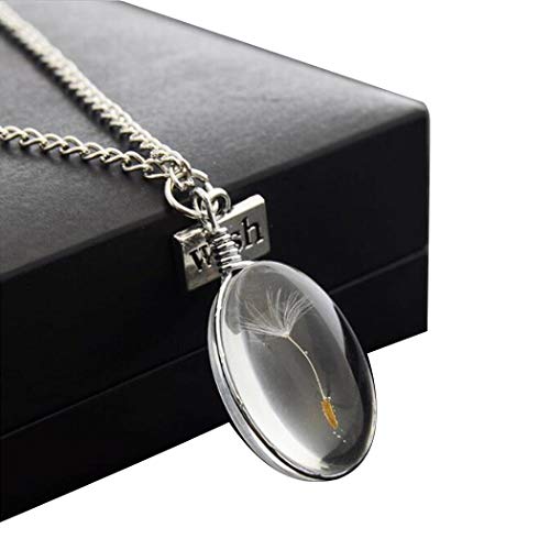 Book Cover Isopeen Fashion Dandelion Seed Necklace Crystal Ball Pendant Long Chain Lover Gifts Pendant Necklaces For Girls Women