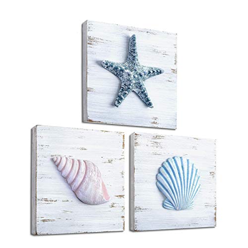 Book Cover TideAndTales Beach Theme Seashell Wall Decor (Set of 3) | Shells and Starfish Beach Decor for Bathroom, Bedroom or Living Room | Rustic Coastal Decor | Ocean Inspired Beach Decorations for Home