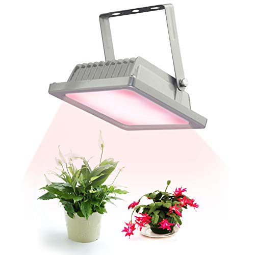 Book Cover ACKE-Glow-Light-Plants-Light for Indoor Plants,Growing Lamp for Greenhouse,Grow Light Fixture for Plants' Growing (RW)