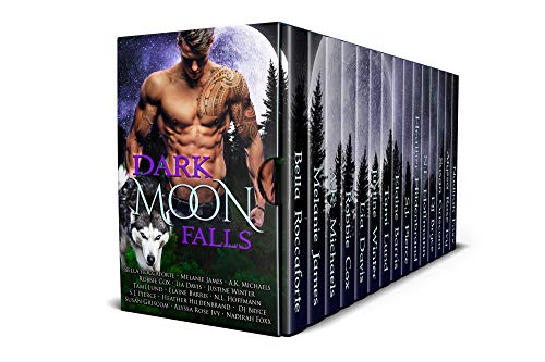 Book Cover Dark Moon Falls