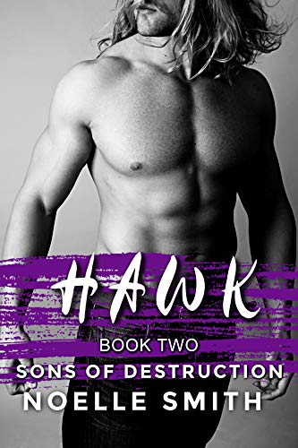 Book Cover Sons of Destruction: Hawk