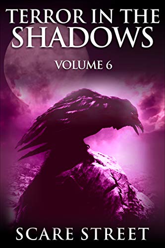 Terror in the Shadows Vol. 6: Supernatural Horror Short Stories & Creepy Pasta Anthology