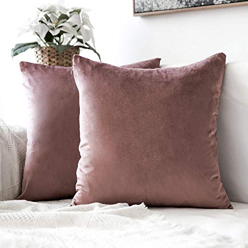 Book Cover MIULEE Pack of 2 Velvet Pillow Covers Decorative Square Pillowcase Soft Solid Cushion Case for Sofa Bedroom Car 26 x 26 Inch Jam