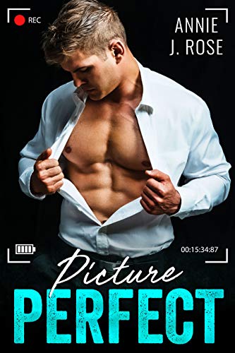 Picture Perfect (Forbidden Desires)