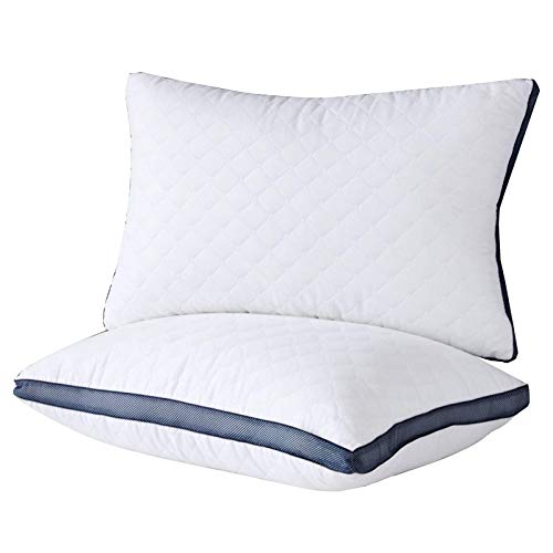 Book Cover Pillows for Sleeping(2-Pack) , Luxury Hotel Gel Pillow ,Bed Pillows for Side and Back Sleeper (Queen)
