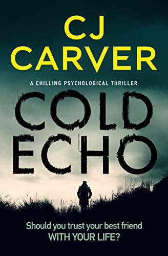 Book Cover Cold Echo: a chilling psychological thriller (Harry Hope Book 1)