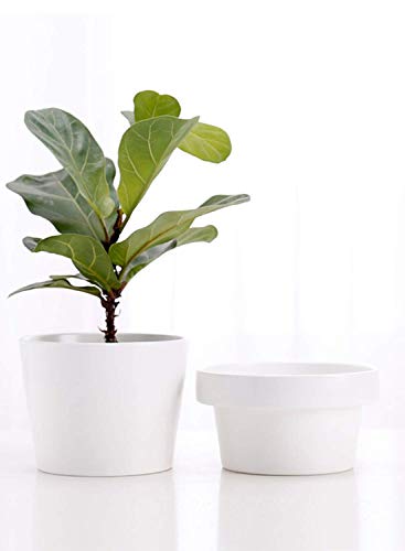 White Ceramic Pot, White Flower Pot, Modern Planter, Ceramic Plant Pots, Ceramic Flower Pot, Ceramic Pots for Plants, Rare Canary White Pot with Two-Piece Storage